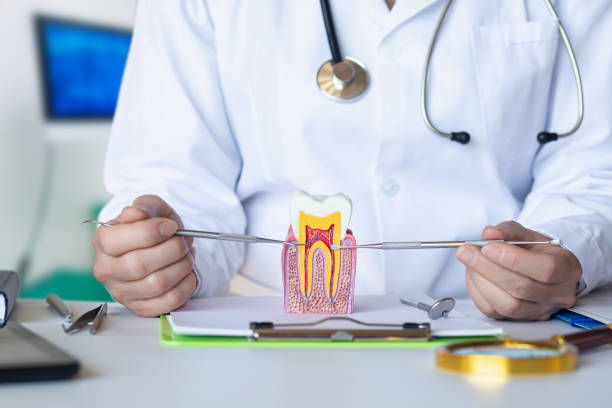 Best Same-Day Emergency Dental Services in Annetta, TX
